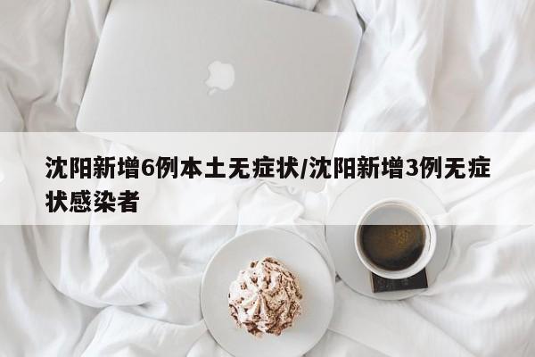 沈阳新增6例本土无症状/沈阳新增3例无症状感染者